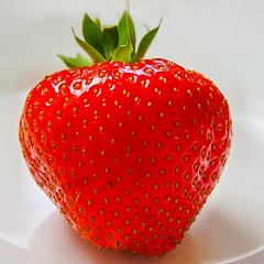 Strawberry Allergy